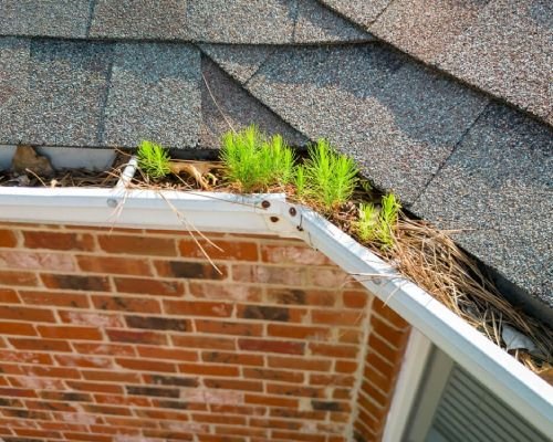 Gutter-Cleaning-Recent-Works.jpg